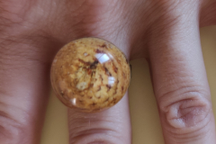 Ring mit Eichel