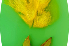 Blume und Blume Blume und Blume